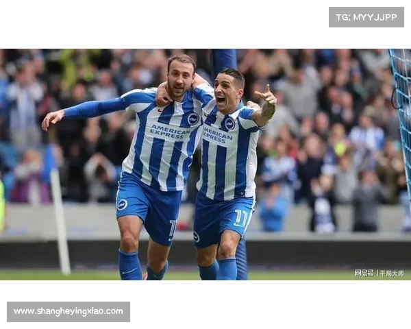 南安普顿与布莱顿，年轻球员的崛起